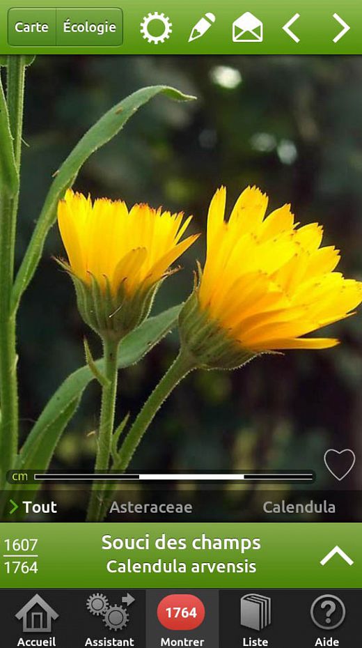 Fleurs en poche - 1764 Fleurs sauvages dans votre smartphone - montrer