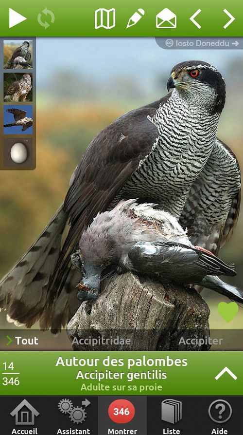 Oiseaux en poche - 348 Oiseaux d’Europe dans votre smartphone - page montrer