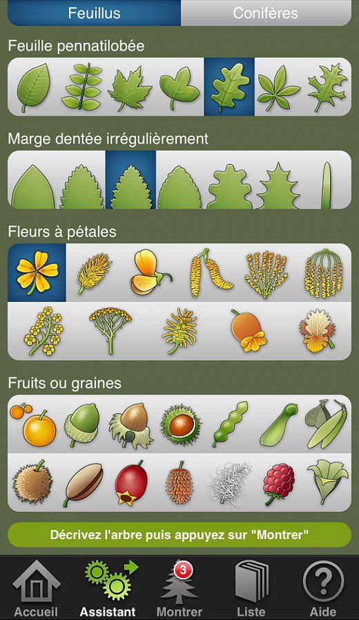 Arbres et arbustes en poche - 319 Arbres et arbustes d’Europe - page assistant
