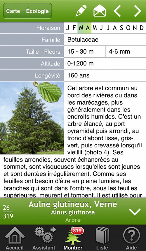 Arbres et arbustes en poche - 319 Arbres et arbustes d’Europe - pade détails