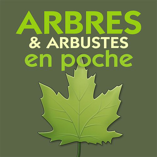 icône arbres et arbustes en poche