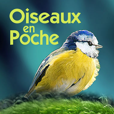 Oiseaux en poche 348 Oiseaux d'Europe dans votre poche